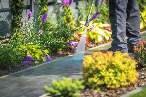 Reliable Caon City, CO Pressure Washing Services Solutions