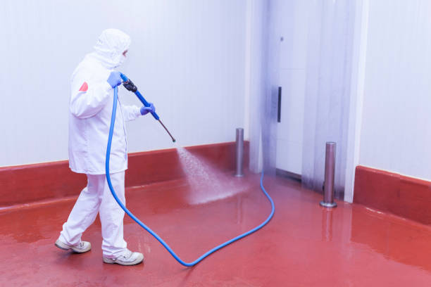 Best Roof Washing  in Caon City, CO