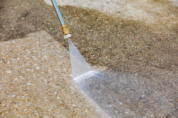 Animal Enclosure Cleaning in Caon City, CO